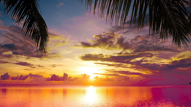 nature, sunset, beach, sky, sea, sunrise, water, ocean, landscape, HD wallpaper