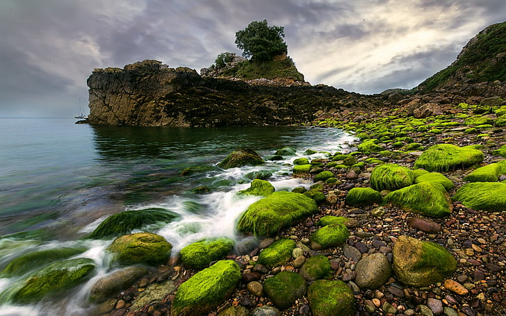 nature, landscape, water, sea, rock, moss, clouds, coast, stones, HD wallpaper