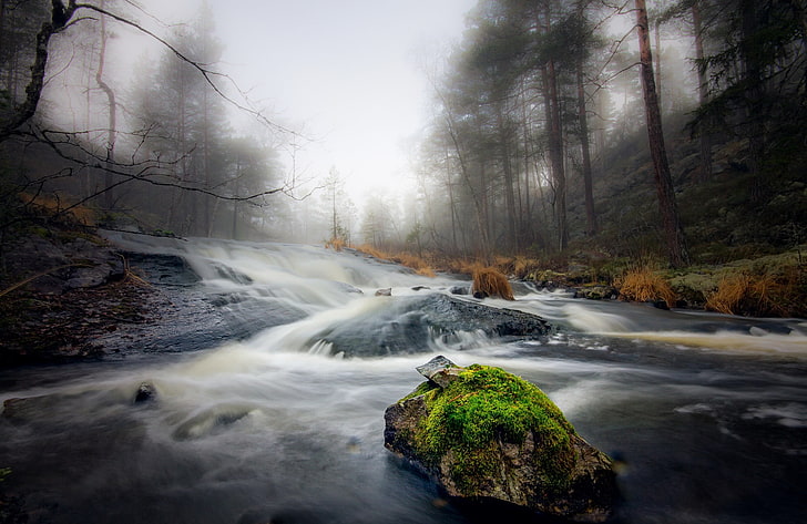 time-lapse photography of river surrounded by trees, nature, water, HD wallpaper