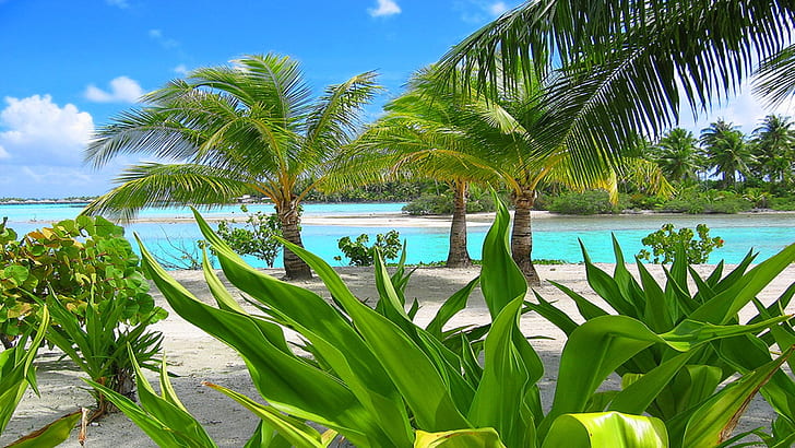 Bora Bora Resort South Polynesia 324641, HD wallpaper