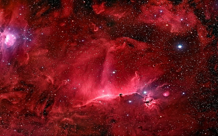space nebula stars horsehead nebula, HD wallpaper