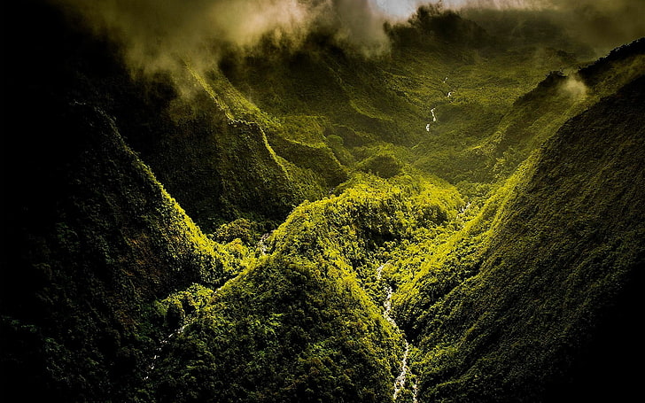 aerial view of green mountain, nature, landscape, rainforest