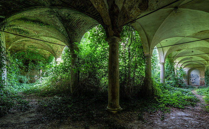 Abandoned Places, gray concrete tunnel, Vintage, Green, Building