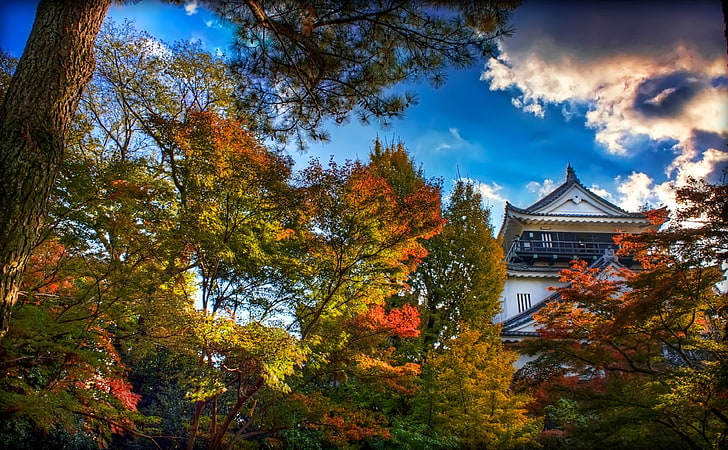 Japanese Castle, Autumn, white temple near trees, Seasons, Blue