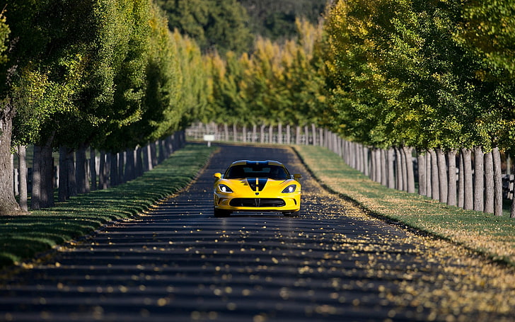yellow sports car, Dodge Viper, yellow cars, road, trees, depth of field