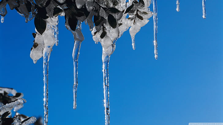 Icicles Winter Ice Frozen Blue HD, nature