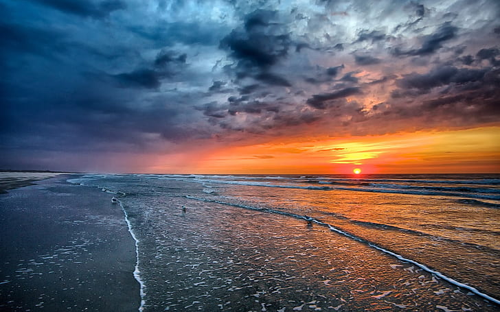 HD wallpaper: Sunset, sea, beach, coast, waves, birds, nimbus clouds |  Wallpaper Flare