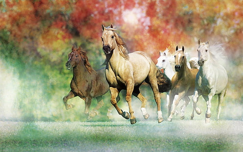 HD wallpaper: Galloping White Horses Hd Wallpapers For Laptop Widescreen  Free Download | Wallpaper Flare