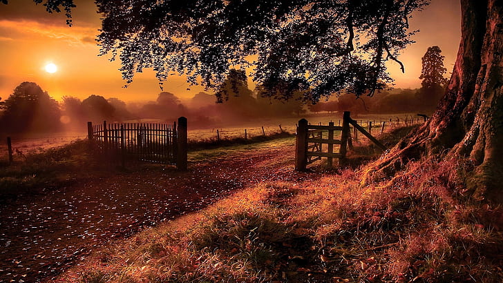 fence, farm, sunset, countryside, tree, evening, landscape, HD wallpaper