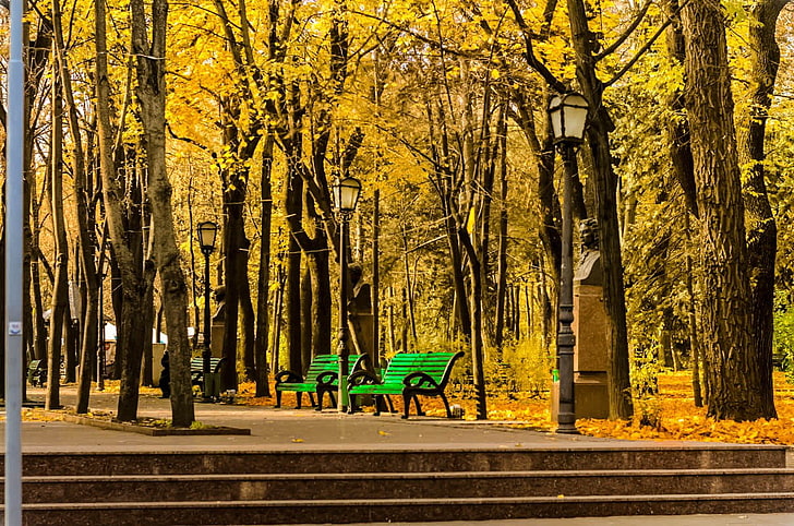 cityscape, park, tree, plant, tree trunk, autumn, nature, change, HD wallpaper