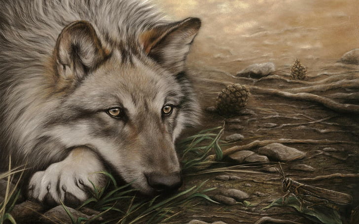 HD wallpaper: Wolf Drawing, soft, fluffy, wild, animal, pretty, beauty,  animals | Wallpaper Flare