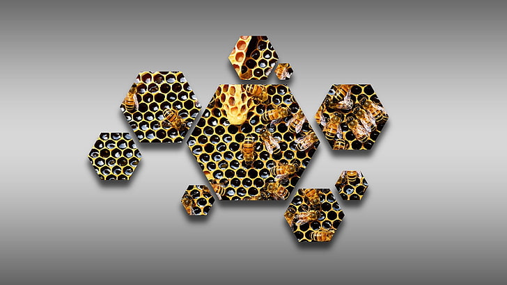 hexagon bees beecube beehive hive honeycombs honey, studio shot, HD wallpaper