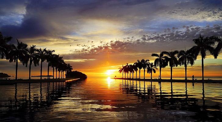 sunset, beach, sky, sunlight, palm trees, clouds, water, beauty in nature