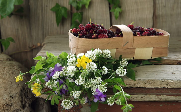 basket, flowers, fruit, plants, still life, flowering plant