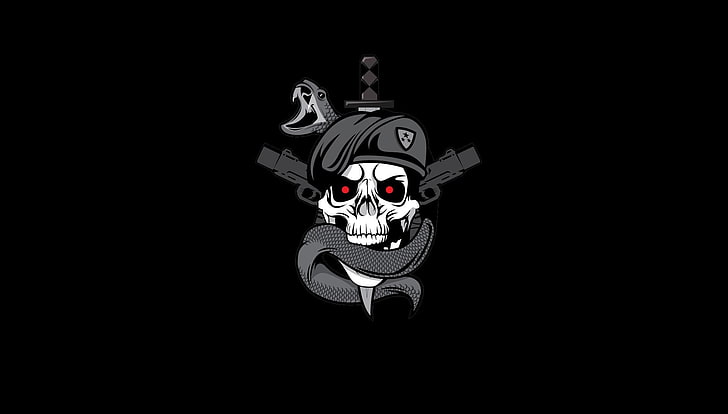 skull with snake digital wallpaper, gray and black skull emblem