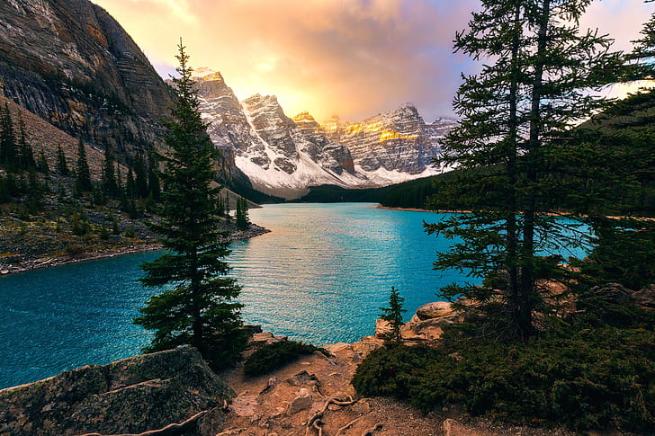 trees, mountains, lake, ate, Canada, Albert, Banff National Park
