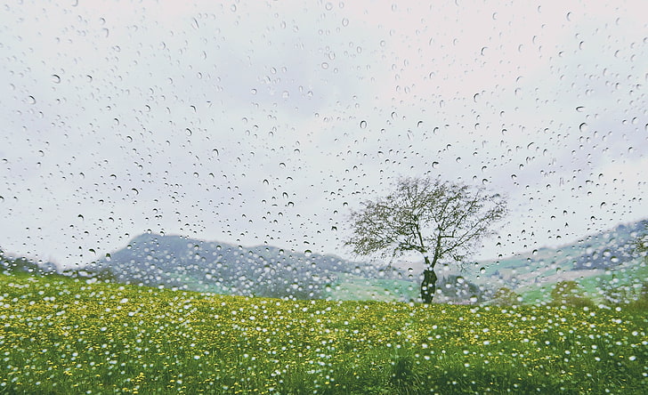 nature, landscape, clouds, sky, drop, wet, rain, water, transparent, HD wallpaper