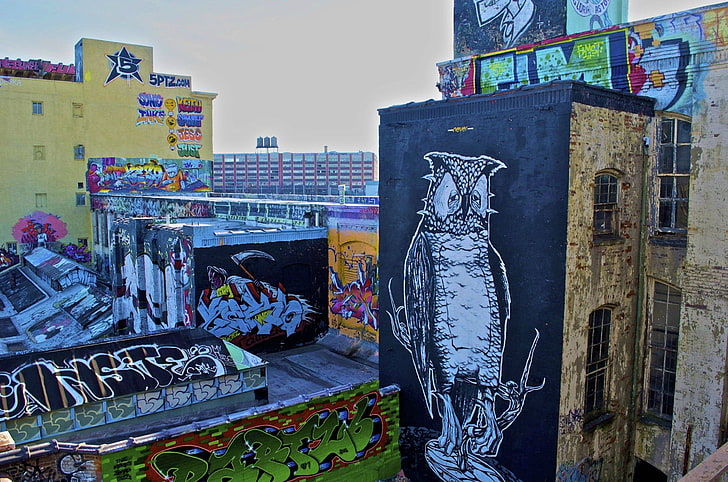 white hawk mural, graffiti, owl, building, rooftops, New York City