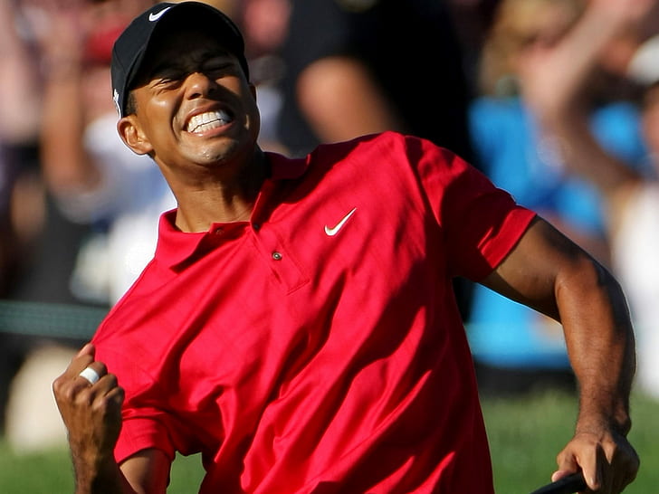 Tiger Woods, Celebrities, Golf Player, Sport, Win, tiger woods, HD wallpaper