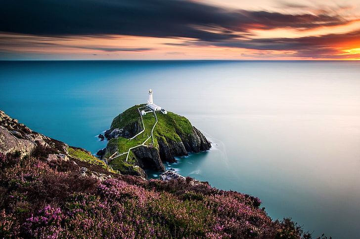 green and brown grass field, landscape, Wales, lighthouse, flowers