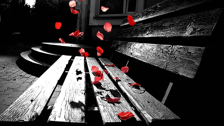 black and white floral area rug, bench, petals, sad, selective coloring, HD wallpaper
