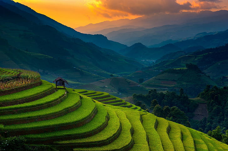 nature, mist, landscape, sunset, Vietnam, field, green, sunlight, HD wallpaper