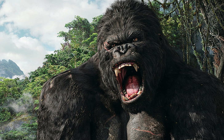 King Kong, movies, HD wallpaper