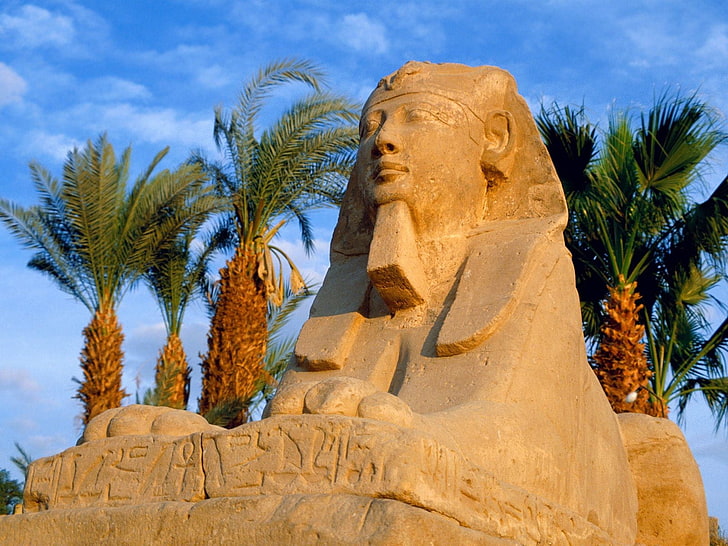 Luxor, Egypt, tree, palm tree, art and craft, sculpture, tropical climate