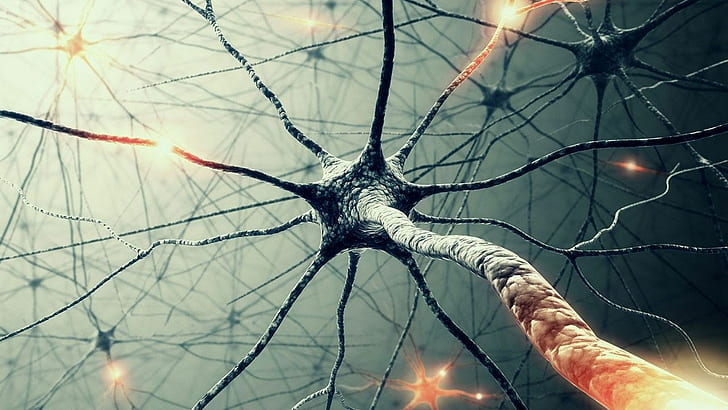 Neuron iPhone and Android Wallpapers