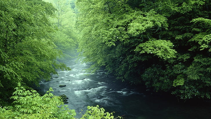tennessee rivers national park great smoky mountains 1920x1080  Nature Mountains HD Art