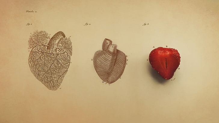 heart and strawberry illustration, digital art, minimalism, simple, HD wallpaper