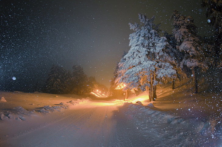 snowfield HD wallpaper, winter, road, night, tree, lighting, lights