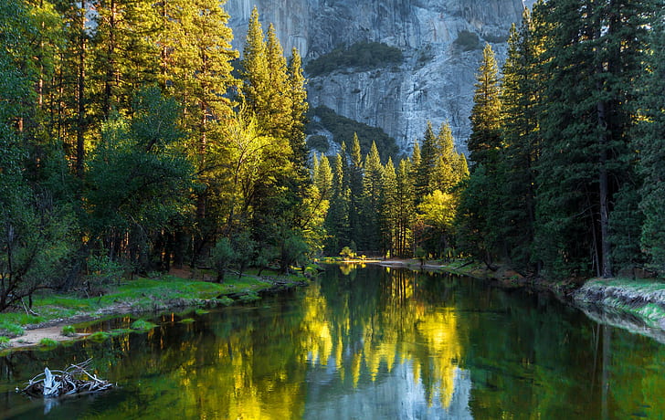 California, USA, mountain, pine trees near lake and rocky mountain