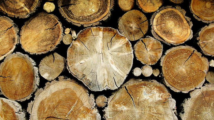 wood slab lot, trees, timber, log, firewood, full frame, lumber industry, HD wallpaper