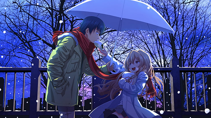 Toradora!, anime, Ryuuji Takasu, Aisaka Taiga, umbrella, snow, HD wallpaper
