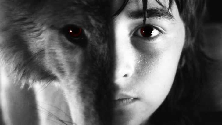 werewolf artwork, Game of Thrones, direwolves, Brandon Stark