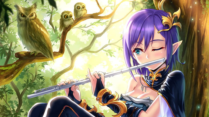 Anime Girls, Owl, Flute, Elven Ears, Purple Hair, Elves, woman anime, HD wallpaper