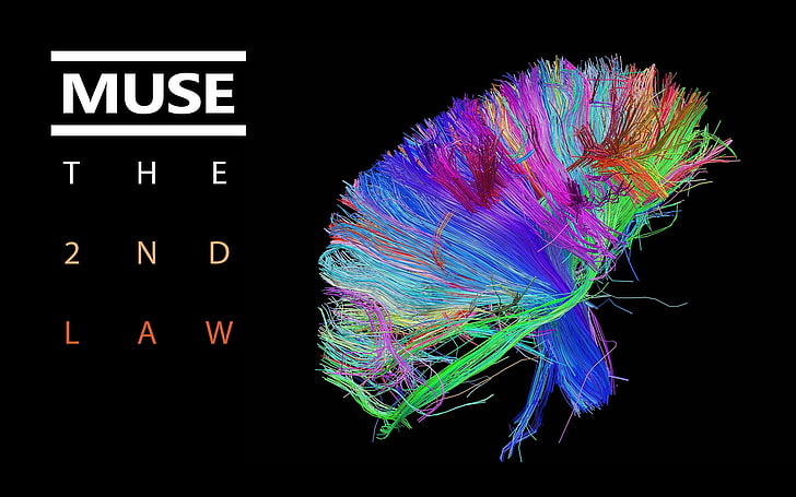 Muse The 2nd Law wallpaper, colors, cover, brain, bundle, wires