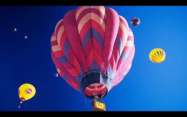 pink and blue hot air balloon, hot air balloons, air vehicle