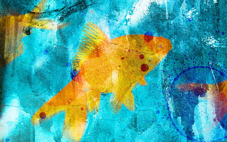 fish, goldfish, blue, graffiti, cyan, yellow, HD wallpaper