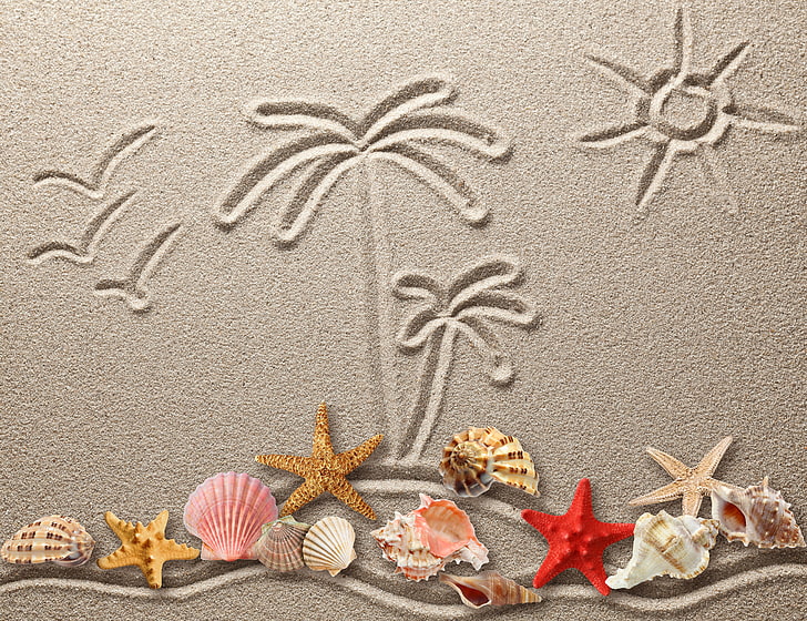 seashells, sand, figure, texture, drawing, starfish, beach, vacations, HD wallpaper