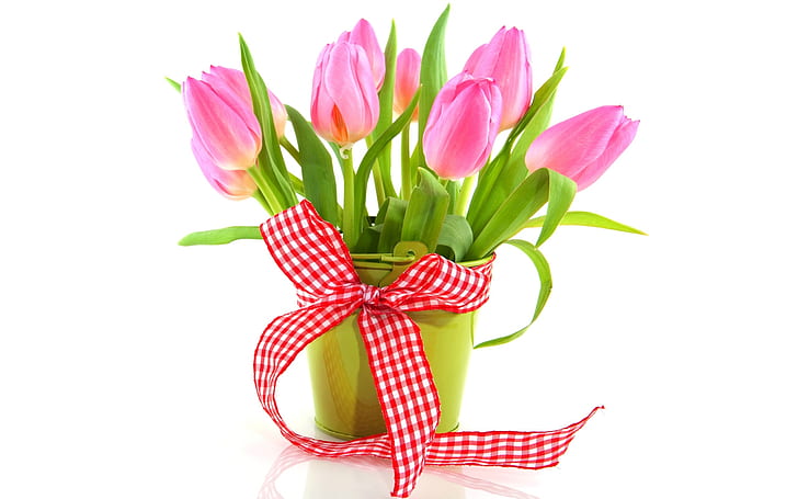 Fresh flowers, pink tulips, ribbon, vase