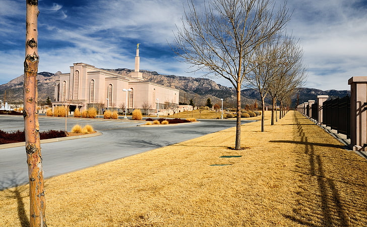 Albuquerque New Mexico LDS Temple, brown bare tree, United States, HD wallpaper