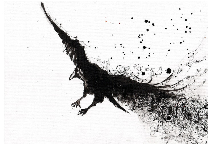 black bird sketch, raven, birds, monochrome, animal, animal themes, HD wallpaper