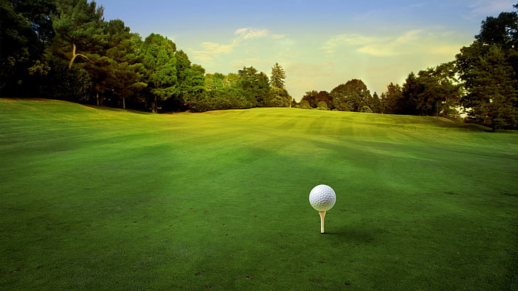 Golf ball grass 640x1136 iPhone 55S5CSE wallpaper background  picture image
