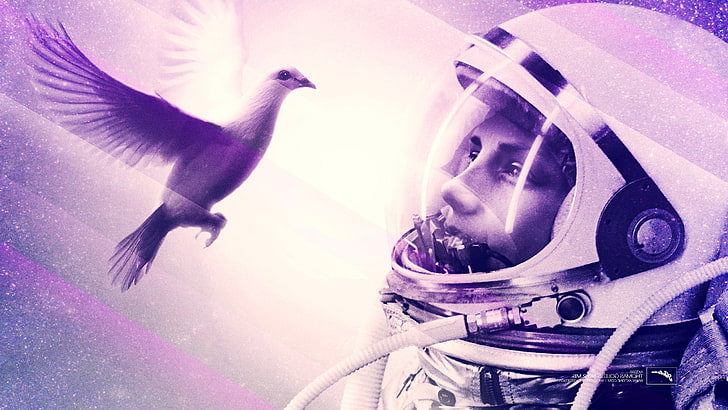 angel, Axwell, birds, Eternal Sunshine Of The Spotless Mind, HD wallpaper