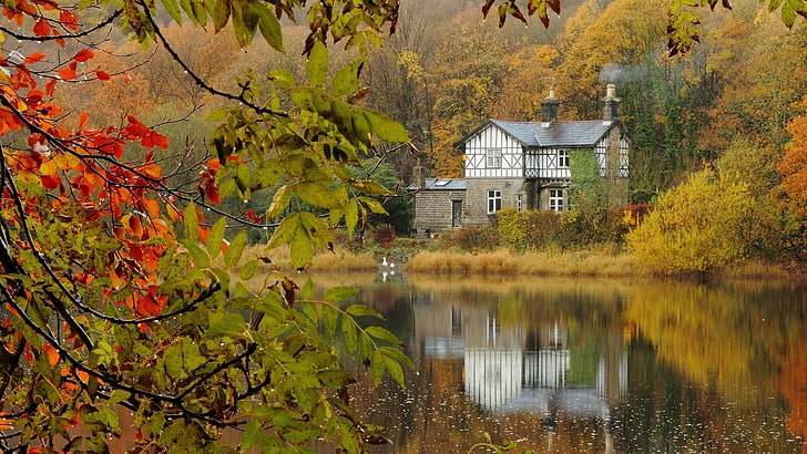 green leafed tree, brown house near body of water surrounded by trees