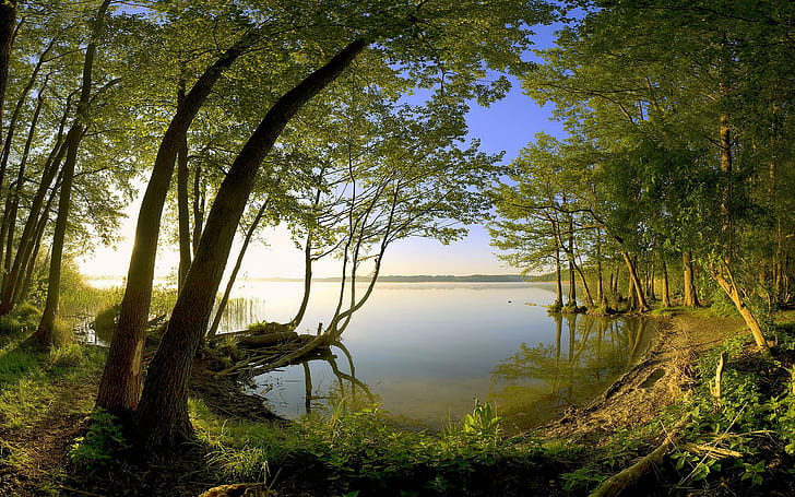 My Favorite Place, trees, nature, amazing, lakes, beautiful, ashore, HD wallpaper