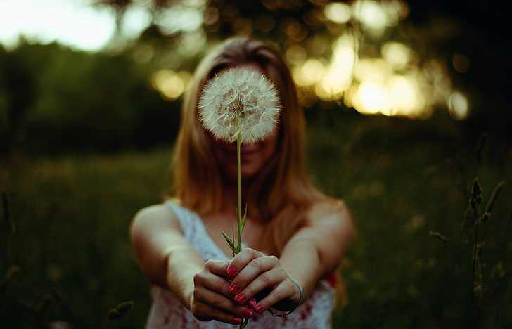 nature, dandelion, women, one person, plant, real people, land, HD wallpaper
