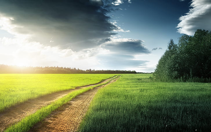 Nature scenery, fields, grass, trees, clouds, road, brown soil road